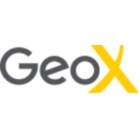 GeoX Analytics logo - Similar company to 4M Analytics