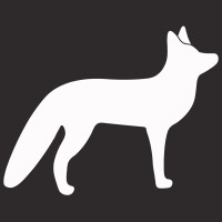 FoxxWare logo - Similar company to Timwork Ppc