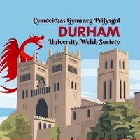 Durham University Welsh Society logo - Similar company to Syrian Welsh Society