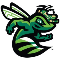 Augusta GreenJackets Professional Baseball logo - Similar company to Usd 345