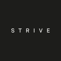 Strive Digital logo - Similar company to Strive Digital