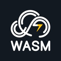 WASM Weather logo - Similar company to Dynpro365