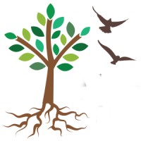 Above And Beyond Family Recovery Center