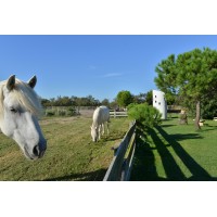 Mas de la Grenouillère logo - Similar company to Isolis