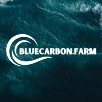 Bluecarbon.Farm