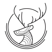Teekood logo - Similar company to Pikziy Studio