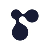 RDI Partners logo - Similar company to Scendea