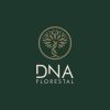 DNA Florestal logo - Similar company to Cemare Drenagem E Pré-Moldados