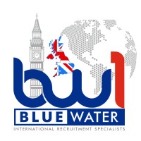 BW1 Consultants Ltd logo - Similar company to Blue Water Accounts