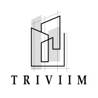 Triviim logo - Similar company to Buildwize