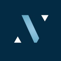 VIDNER logo - Similar company to Wander Waves Studio