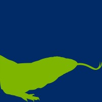 tegu logo - Similar company to This Is Mojo