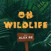 On Wildlife logo - Similar company to New Yerrk