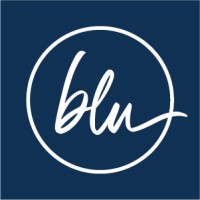 bluSONIL logo - Similar company to Asian John'S