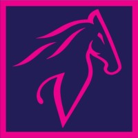 VISTA LEASING IFN (ROMANIA) SA logo - Similar company to Vp Sistem