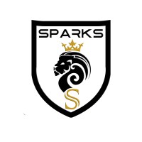 New Sparks Capital Advisors logo - Similar company to Pixel Lime