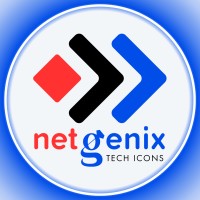 NETGENIX TECH ICONS logo - Similar company to Citygrid Transport Consultants