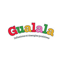 Gualala logo - Similar company to Ykser
