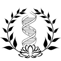 BIOSPARKLENSE logo - Similar company to Scioverleaf