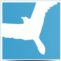 Shachaf Solutions logo - Similar company to Whopaze (Fintech Innovation)