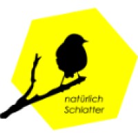 GIS-Bureau Schweiz logo - Similar company to Gis-Trainer