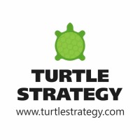 Turtle Strategy logo - Similar company to Turtle Labs