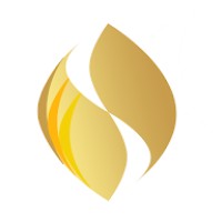 Dittlmann & Partner | Inter Change Concept logo - Similar company to Campingscout