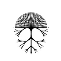 Bureau Van Eeden logo - Similar company to Concpt