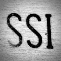 Sound Sculpture Inc. logo - Similar company to Idibri, A Salas O'Brien Company