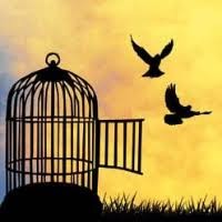 Autodidacte logo - Similar company to Spoc Computing