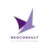 NEOCONSULT NEWS logo - Similar company to Neoconsult S.R.L.