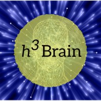 3HBrain logo - Similar company to Smartech Llc.