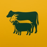 Ruminants Academy logo - Similar company to Progressive Dairy