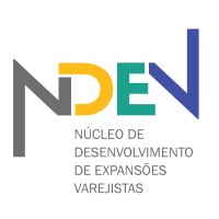 NDEV logo - Similar company to Nasfe - Núcleo De Atendimento Social Da Faculdade De Engenharia Da Ufjf