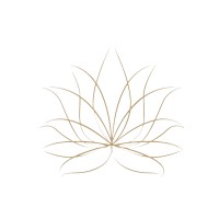 Talyn Fiore logo - Similar company to Digizargar | Digital Zargar Aria Inc.
