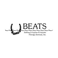 BETHANYS EQUINE AND AQUATIC THERAPY SERVICES INC logo - Similar company to Renée Vincent