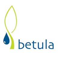 Betula Landscape Architecture logo - Similar company to La + Lab Landscape Architecture And Bim Solutions