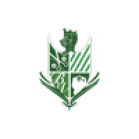 Bello Verde - Astor And Black Custom Clothiers