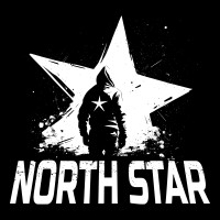 North Star Video Games logo - Similar company to Whitethorn Games