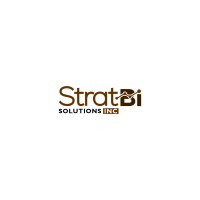 StratBI Solutions Inc logo - Similar company to Kelise Rh