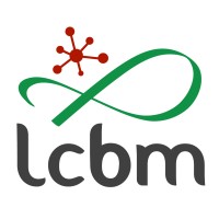 Chemistry and Biology of Metals Laboratory - LCBM logo - Similar company to Symmes