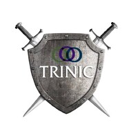 Trinic LLC. logo - Similar company to Houses Made By Robots