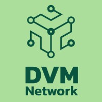 DVM.Network logo - Similar company to Bächle & Spree