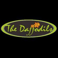 The Daffodils logo - Similar company to Modby Creative Studio