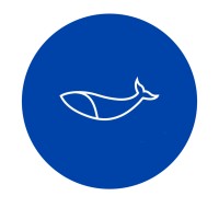 Balina Computer logo - Similar company to The Arkin Group Llc