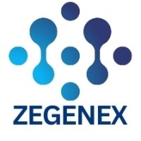 Zegenex Inc logo - Similar company to Paradigm Cfo