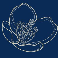 Jasmin Transport logo - Similar company to Raildeal