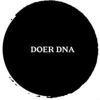 DoerDNA logo - Similar company to Skimbaco Lifestyle