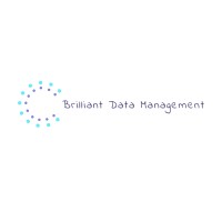 Brilliant Data Management logo - Similar company to Letní Filmová Škola Uherské Hradiště