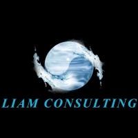 Liam consulting logo - Similar company to Evm Finance